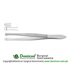 Beer Cilia Forcep Smooth Jaw Stainless Steel, 9 cm - 3 1/2"
